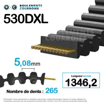 Le modèle de Courroie cote pouce double denture ref 530DXL025 - 530DXL025-MEGADYNE