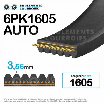 Le modèle de Courroie Poly-V (striée) auto ref 6PK1605 - 6PK1605-AUTO-CONTITECH