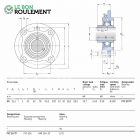 Palier fonte ref FYC20-TF-SKF