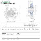 Palier fonte ref FYC65-TF-SKF