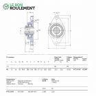 Palier fonte ref FYTJ45-KF-SKF