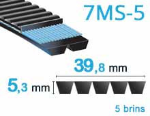 Nos modèles de Section multi 7MSx5 - 39.8x5.3